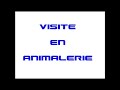 visite en animalerie