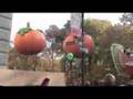 Macy's Thanksgiving Day Parade