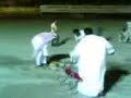 محمد نور يملك نمر حقيقي يتجول به في اكاديمية نور بمكه
