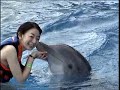 Swimming with dolphins Swimming with dolphins