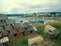 Cape Breton Tear Jerker