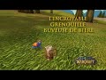 World of Warcraft La Foire de Sombrelune World of Warcraft La Foire de Sombrelune