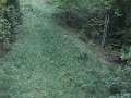 HuntingLife Pro Staffer whacks a Doe at the Bush Creek Camp HuntingLife Pro Staffer whacks a Doe at the Bush Creek Camp