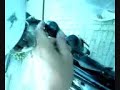 m\ m\