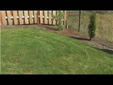 how to fertilize a newly seeded lawn