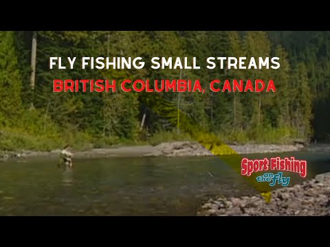 SFOTF S08 EP05 Small River Fishing