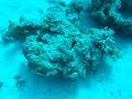 Hurghada  Egypt Scuba Diving 2