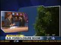 PineappleHut's Dina Moskowitz, FoxNews San Diego Real Estate