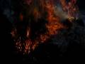 videos de FEUER