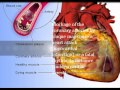 MOVIE HEART DISEASE (PENYAKIT JANTUNG)wmv