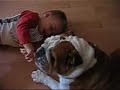 Tolerancia del Bulldog