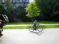 videos de Caravan in Vondelpark