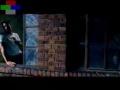 Video screenshot