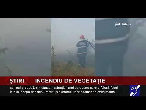 Incendiu puternic de vegetaţie