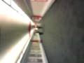 videos de walking down the loong corridoor to the fall out boy concert