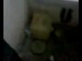 videos de Baños del personal en la Carcel de Las Flores