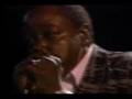 Willie Dixon & Chicago Blues Old Stars - Seventh Son