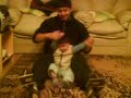 Canastito Bailarin Haciedo Rabiar a su Padre Canastito Bailarin Haciedo Rabiar a su Padre