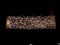 Ratatat Lex - Christmas lights