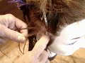 BRAIDED TRACKS BRAIDED TRACKS