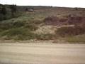 videos de Bear Lake lot - Dare you to find better views!