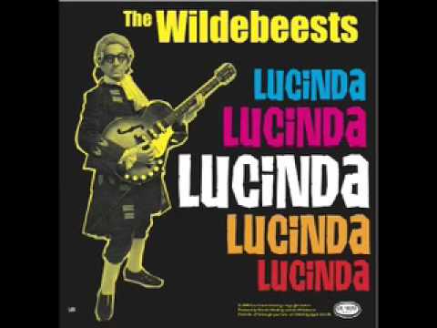 Wildebeests - Ah, The bloody Wildebeests, true purveyors of the 'Dimbo beat' and all round Din meisters... John Gibbs (The Kaisers, Holly Golightly, The Masonics), Lenny H...