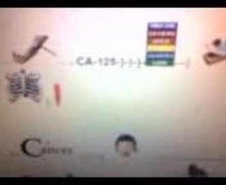 Animated Catamenial Pneumothorax ...