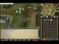 Cats and Beaver in PvP