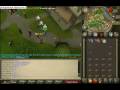 Cats and Beaver in PvP