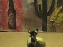 The Golfball And the Cow