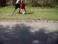 dylan vs. some guy