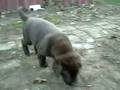 Picture 1771_Archos_.avi