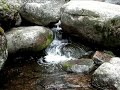 this is a brook at san isabel, colorado.  movie taken on july 5, 2006