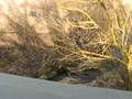 videos de Where is the Mighty, Mighty Neckar?