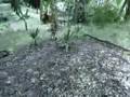Crysis-Sandbox2-Edit