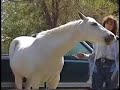 Amazing Horse lip synchs to music Amazing Horse lip synchs to music