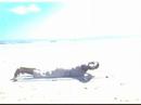 Beach workout with steve the fitness activator