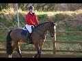 BIG remix of the ponies! xx