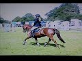 BIG remix of the ponies! xx