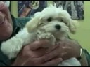Recorded on September 05, 2008 using a Flip Video camcorder.