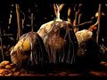 angra   amv   samurai x   nothing to say
