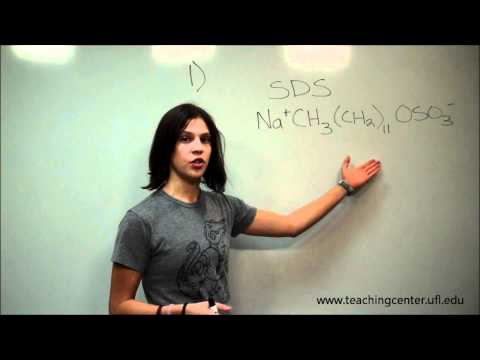 how to dissolve squalene