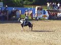 Rodeo Hilter 2007 Wildpferdreiten Finales Go