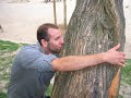 Video Lavradas