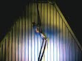 Raquel Nicoletti - aerial acrobat