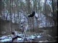Brutal Wrestling