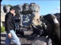 Sommerbegegnungen im ZOO am Meer