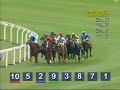 2006 Hong Kong Vase ??? 2006 Hong Kong Vase ???