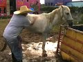 AGAPITO DIAZ EMPLEADO DEL CIRCO NNN 23