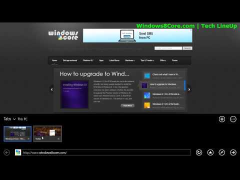 how to adjust ie view